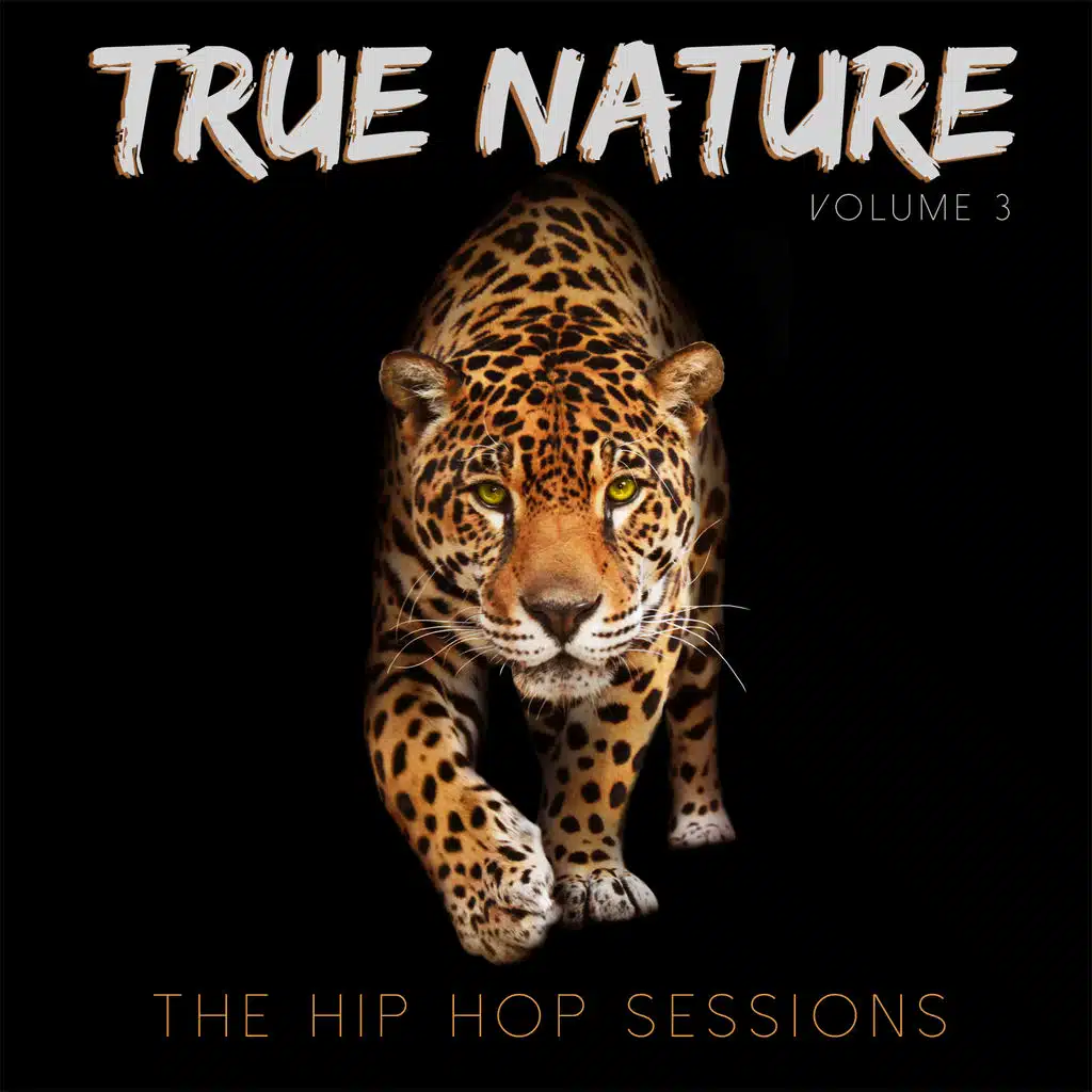 True Nature: The Hip Hop Sessions, Vol. 3