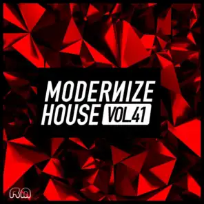Modernize House, Vol. 41