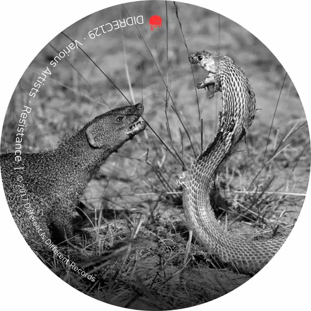 Mirage (V1L Terror Degradation Side)