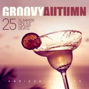 Groovy Autumn (25 Summer House Beats)