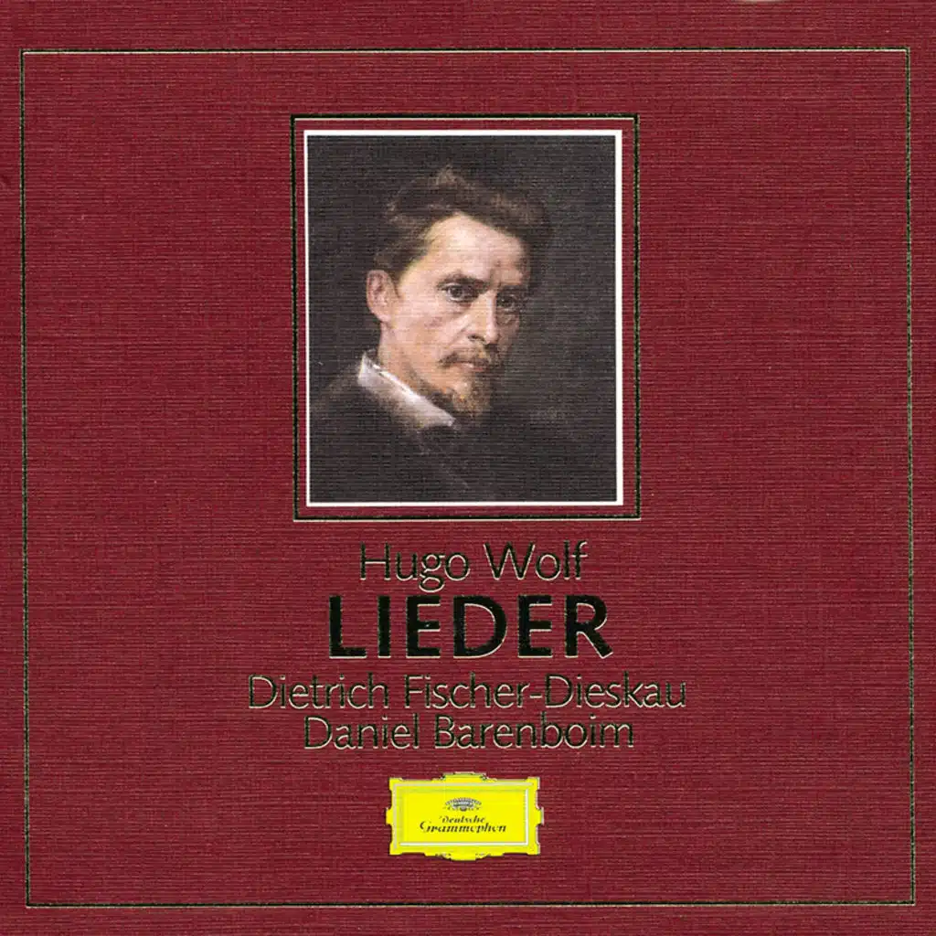 Wolf: Lieder (6 CDs)