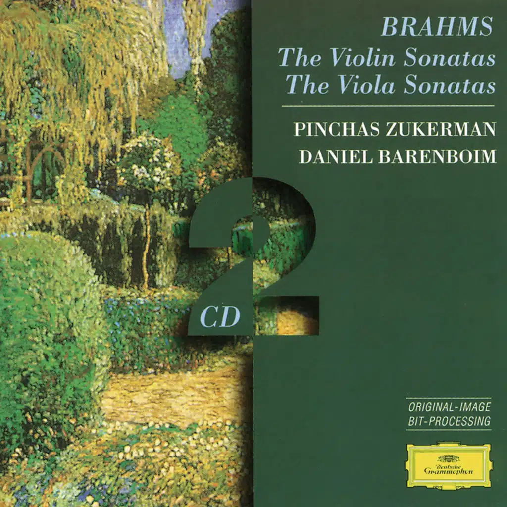 Brahms: Sonata for Clarinet and Piano No. 2 in E Flat Major, Op. 120 No. 2: II. Appassionato, ma non troppo allegro