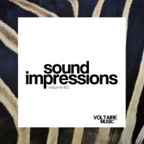 Sound Impressions, Vol. 40