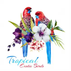 Tropical Exotic Birds