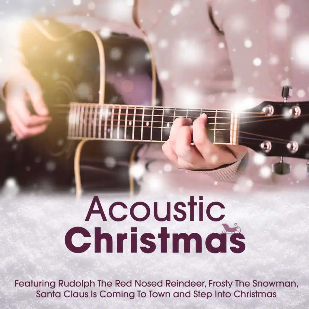 Acoustic Christmas, Vol. 2