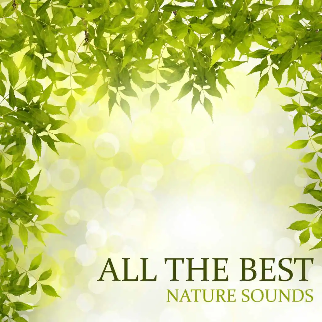 All the Best Nature Sounds