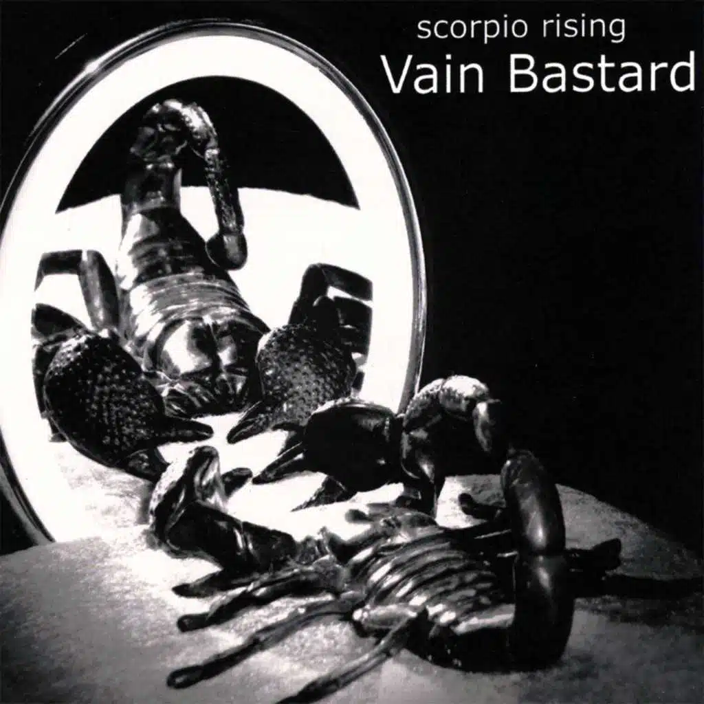 Vain Bastard