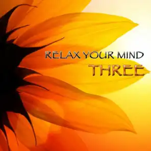 Relax Your Mind Three