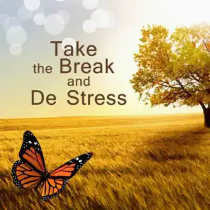 Take the Break and De Stress