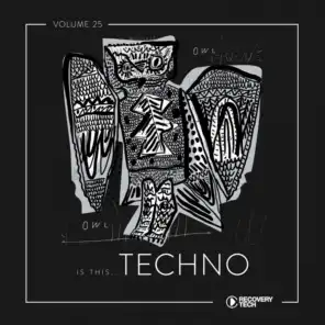 Is This Techno?, Vol. 25