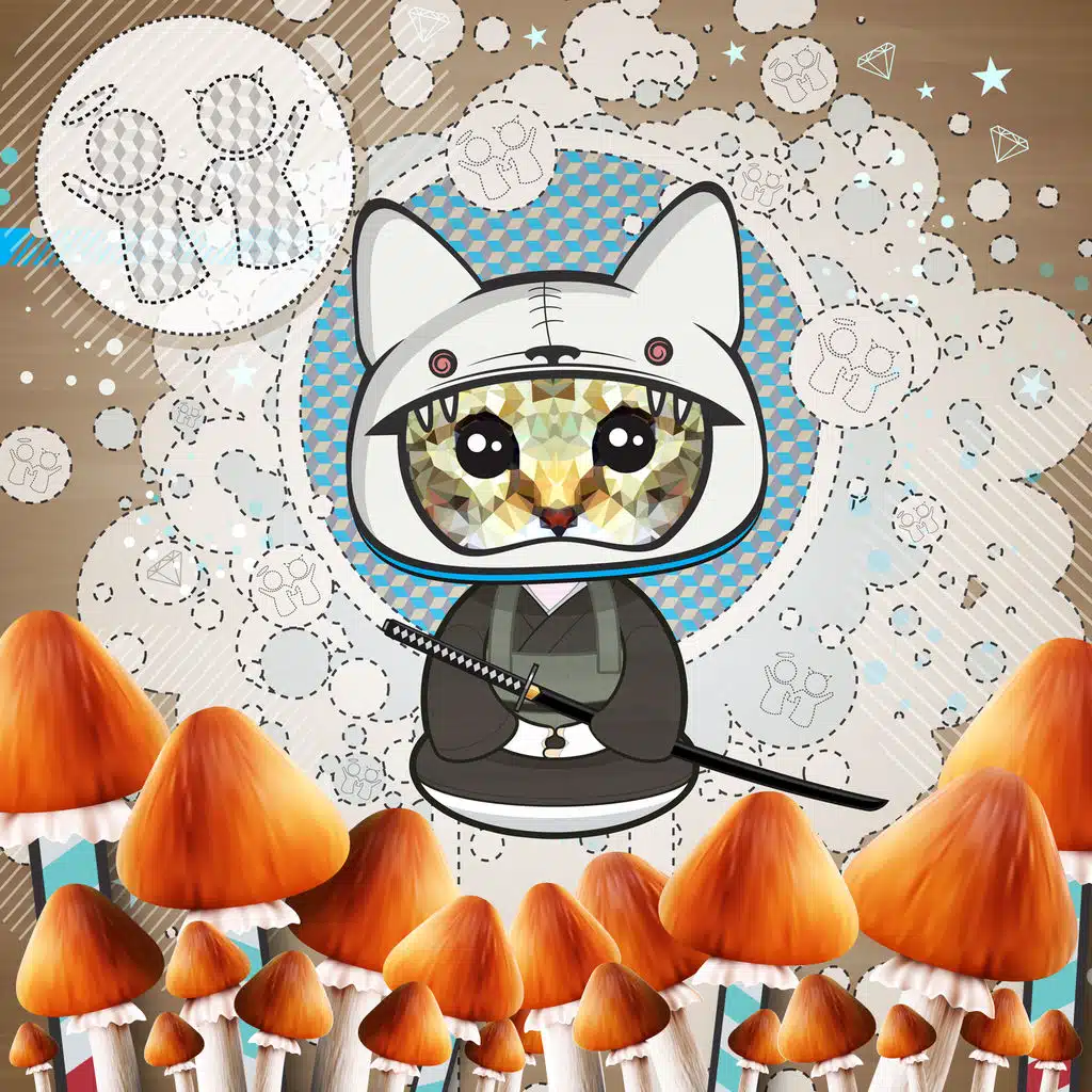 Psilocybin Samurai (Timmy Tutone Remix)