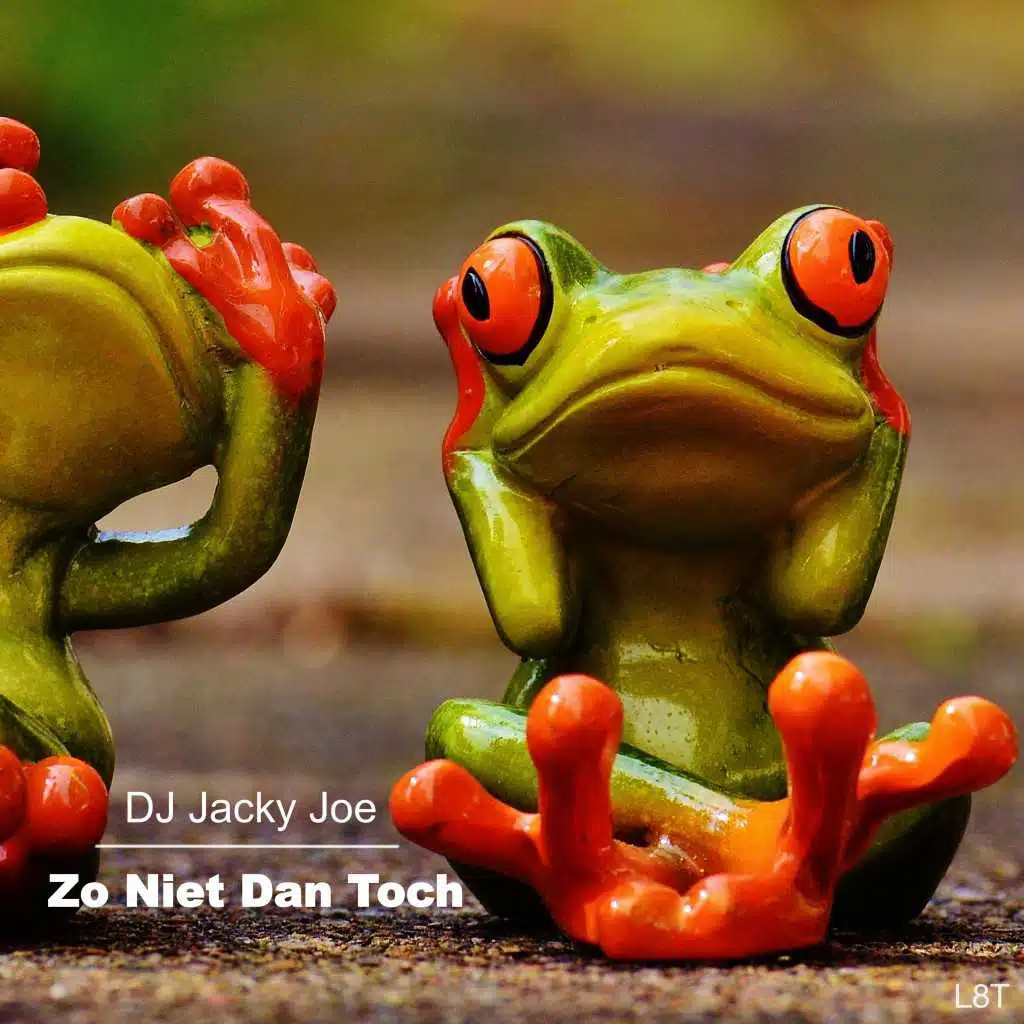Zo Niet Dan Toch