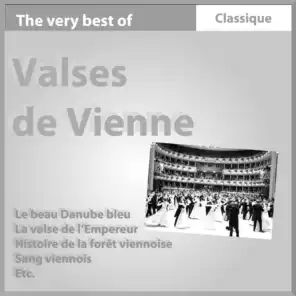 Johann Strauss Jr. : Valses de Vienne