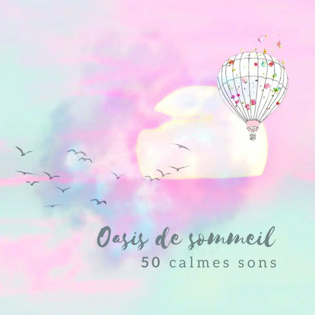 Oasis de sommeil - 50 calmes sons, Idéale pour mieux dormir, Nuit tranquille, Détente apaisante, Une technique naturelle pour les insomniaques