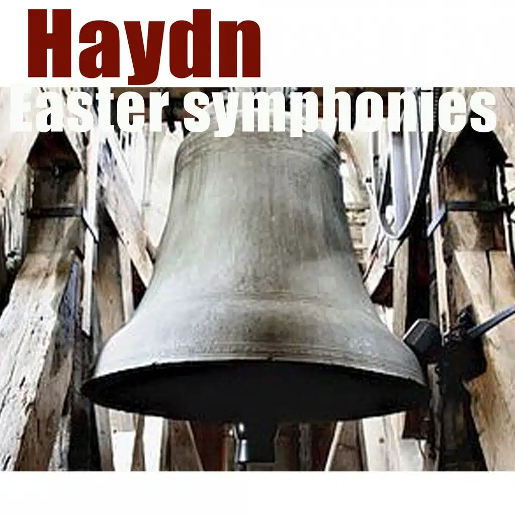 Symphony No.49 in F minor, Hob.I:49 - 'La Passione': II. Allegro di molto