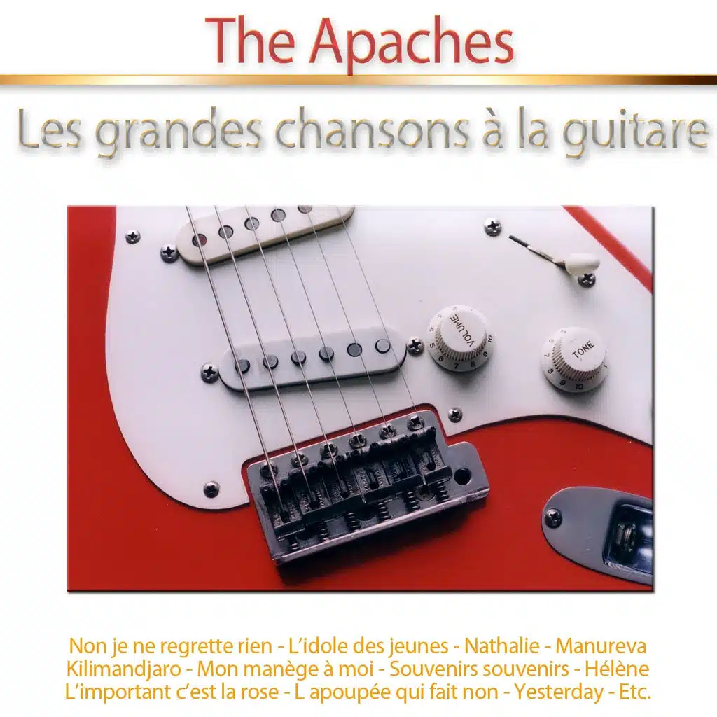 Les grandes chansons à la guitare