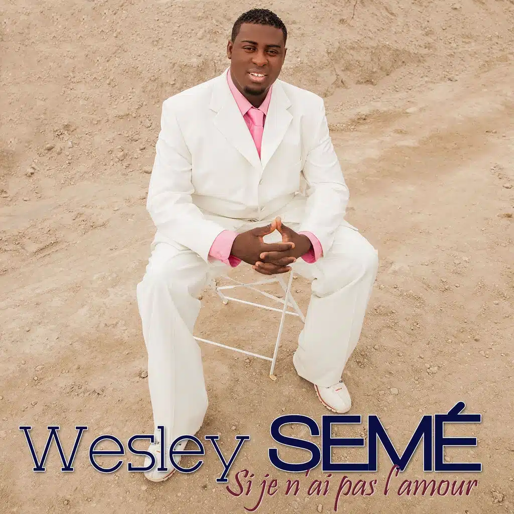 Si je n'ai pas l'amour