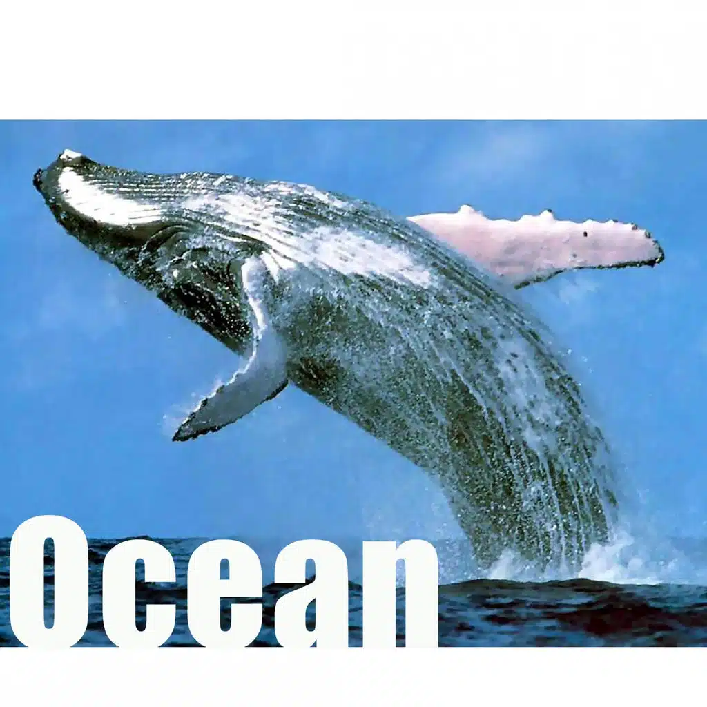 20000 Leagues Under the Sea