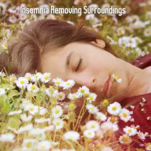 Insomnia Removing Surroundings