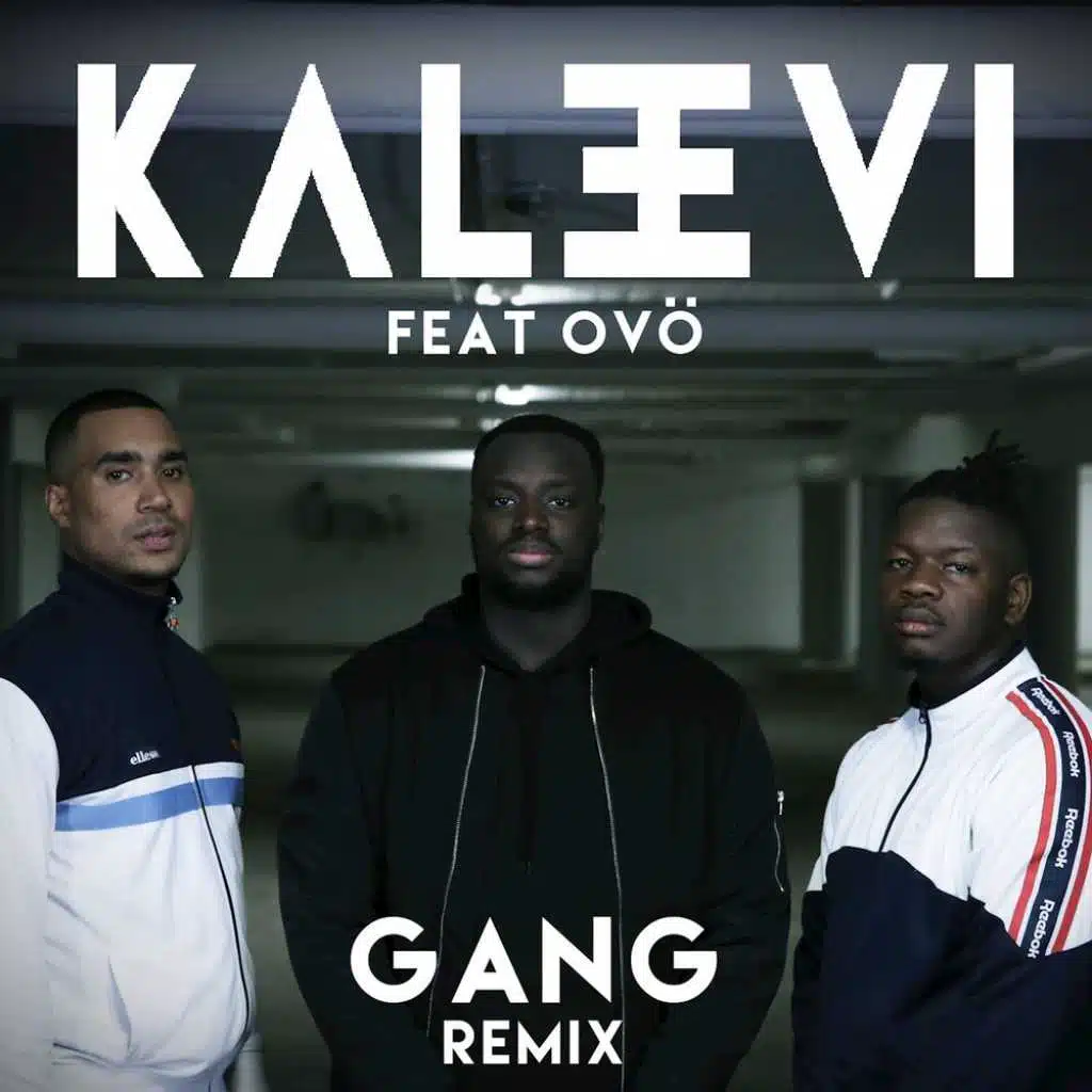 Gang (Remix) [feat. OVÖ]