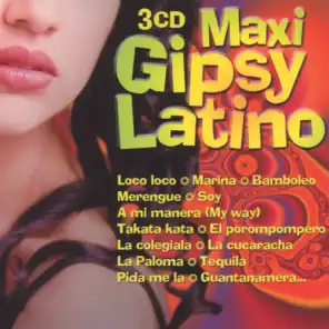 Maxi Gipsy Latino - 58 Hits
