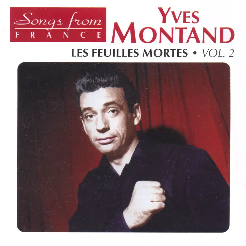 Jolie comme une rose