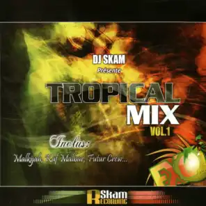DJ Skam présente Tropical Mix, vol. 1