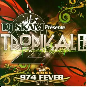 Tropical Mix 974 Fever, Vol. 2 - DJ Skam présente
