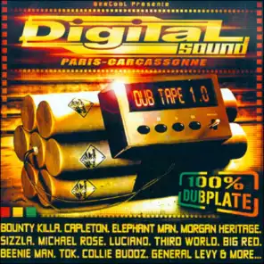 Digital Sound Dub Tape 1.0 - 100% Dubplate