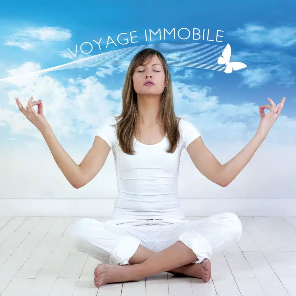 Moonlight on a Lotus