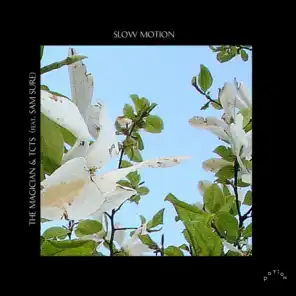 Slow Motion (feat. Sam Sure)
