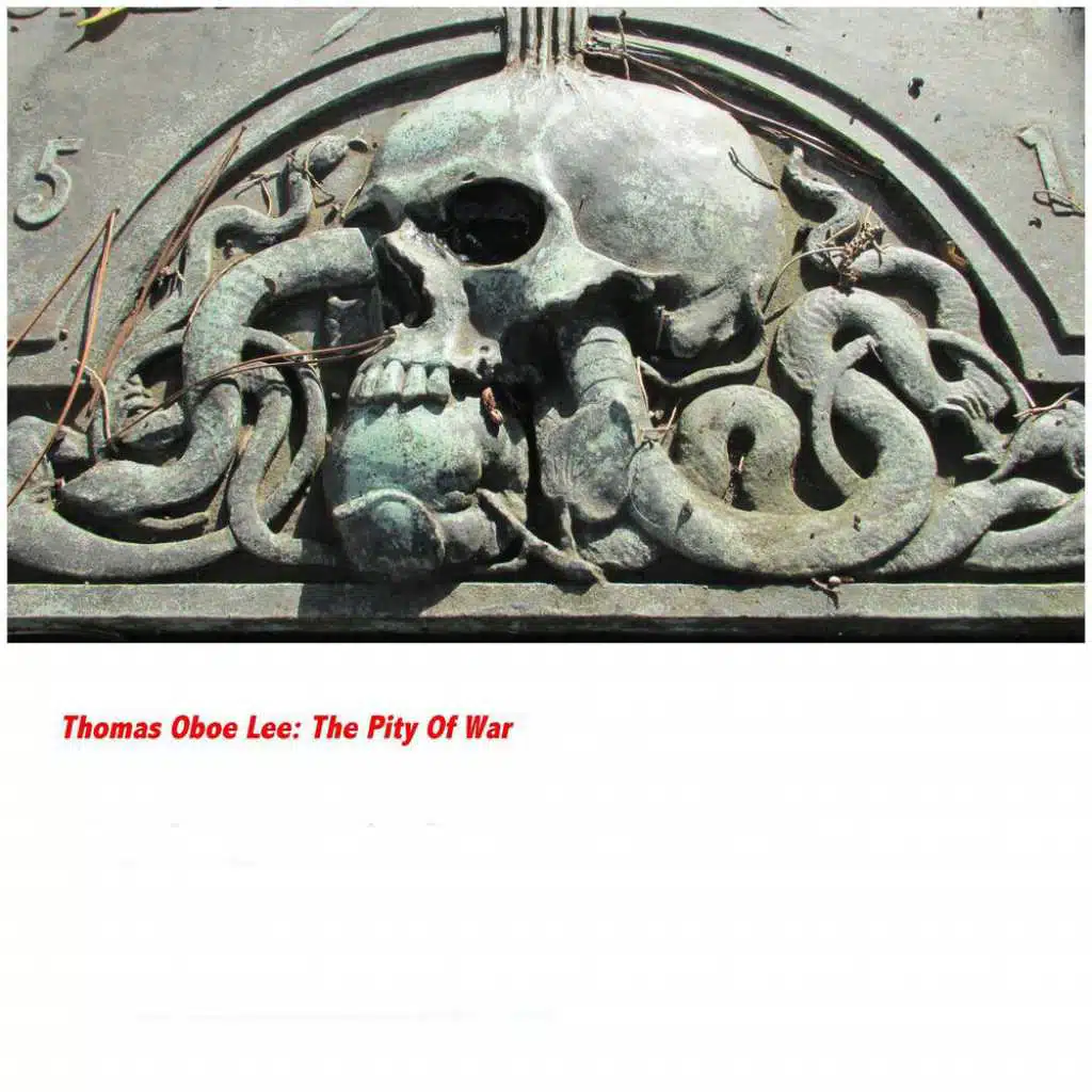 The Pity of War (feat. Michael Hey & Tim Krol)
