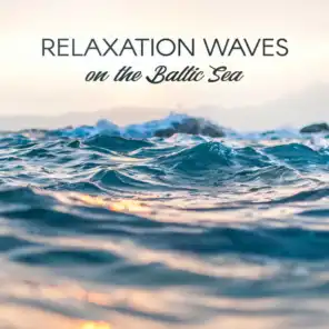 Relaxation Waves on the Baltic Sea