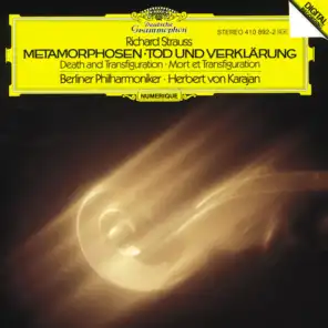 R. Strauss: Metamorphosen, TrV 290 (Recorded 1980)