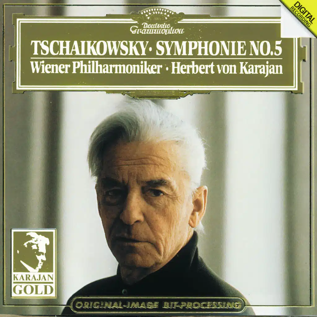 Tchaikovsky: Symphony No. 5 in E Minor, Op. 64: I. Andante – Allegro con anima