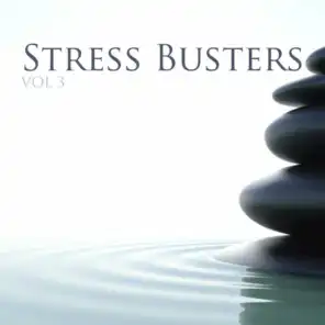 Celtic Crosses (Stress Buster Mix)