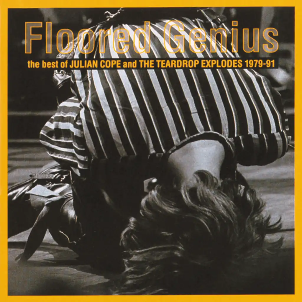 Floored Genius: The Best Of Julian Cope And The Teardrop Explodes 1979-91