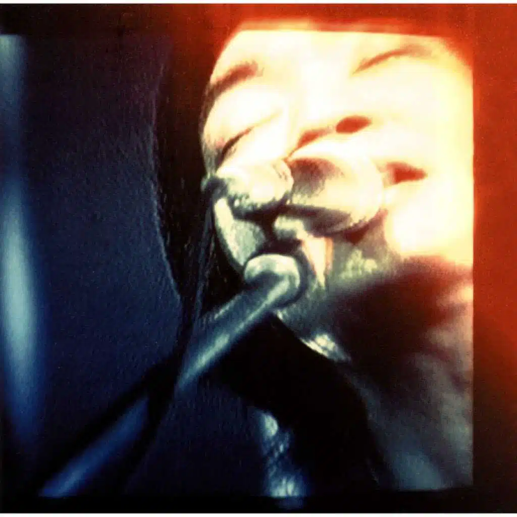 Shiawasemono (Live At Akasaka Blitz / 1998)