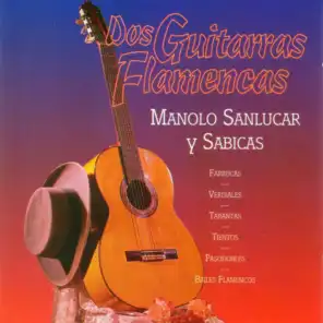 Dos guitarras flamencas