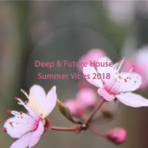 Deep & Future House Summer Vibes 2018