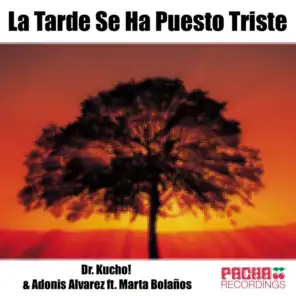 La Tarde Se Ha Puesto Triste (Disc Doctor Mix)