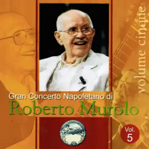 Gran concerto napoletano, Vol. 5