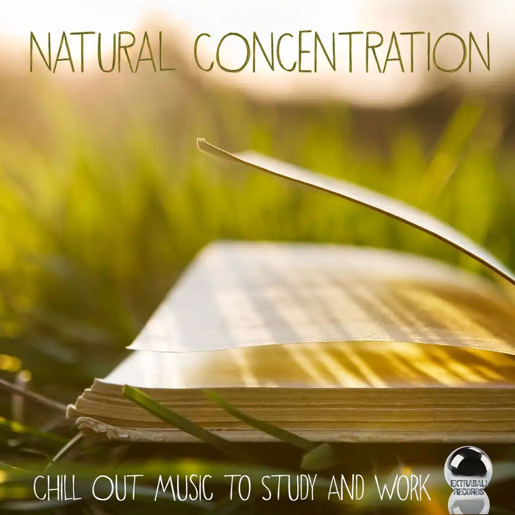 Natural Concentration (Chill Out Music to Study and Work)