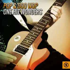 Pop & Doo Wop One Hit Wonders