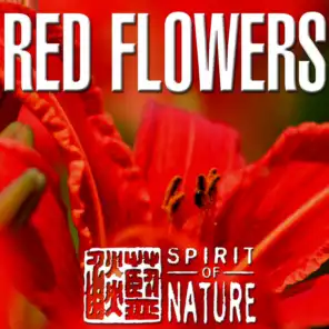 Spirit of Nature (Red Flower)