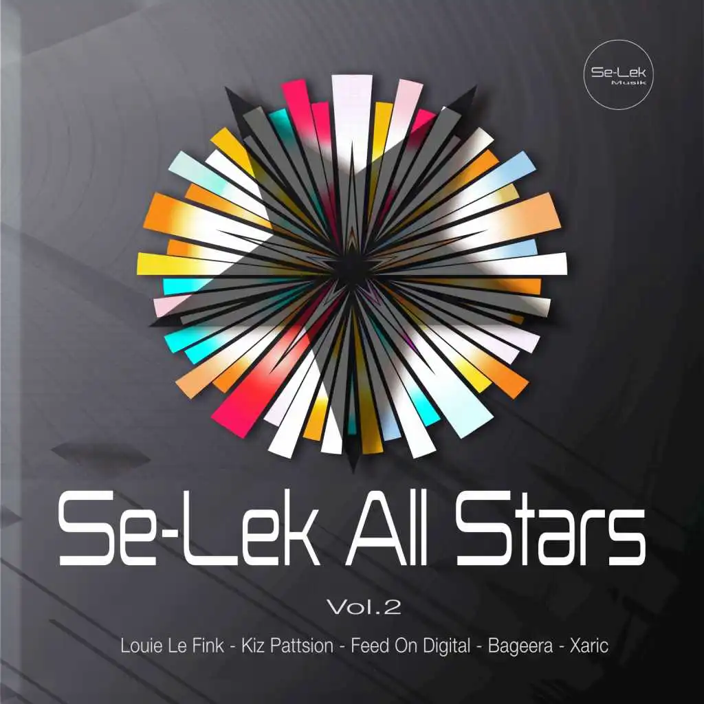 Se-Lek All Stars, Vol. 2