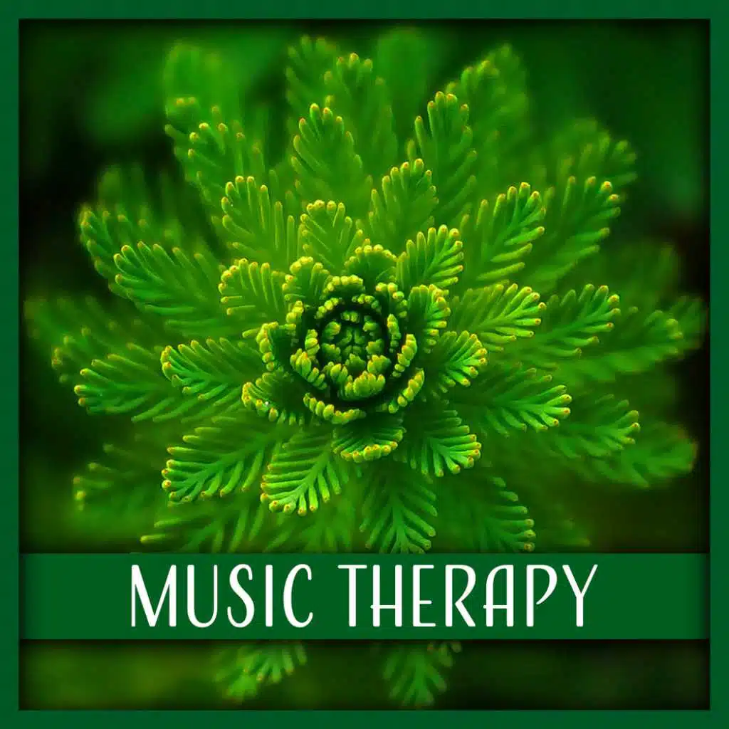 Music Therapy – 50 Healing Tracks with New Age Music & Sounds of Nature, Meditation, Relaxation and Deep Sleep Inducing
