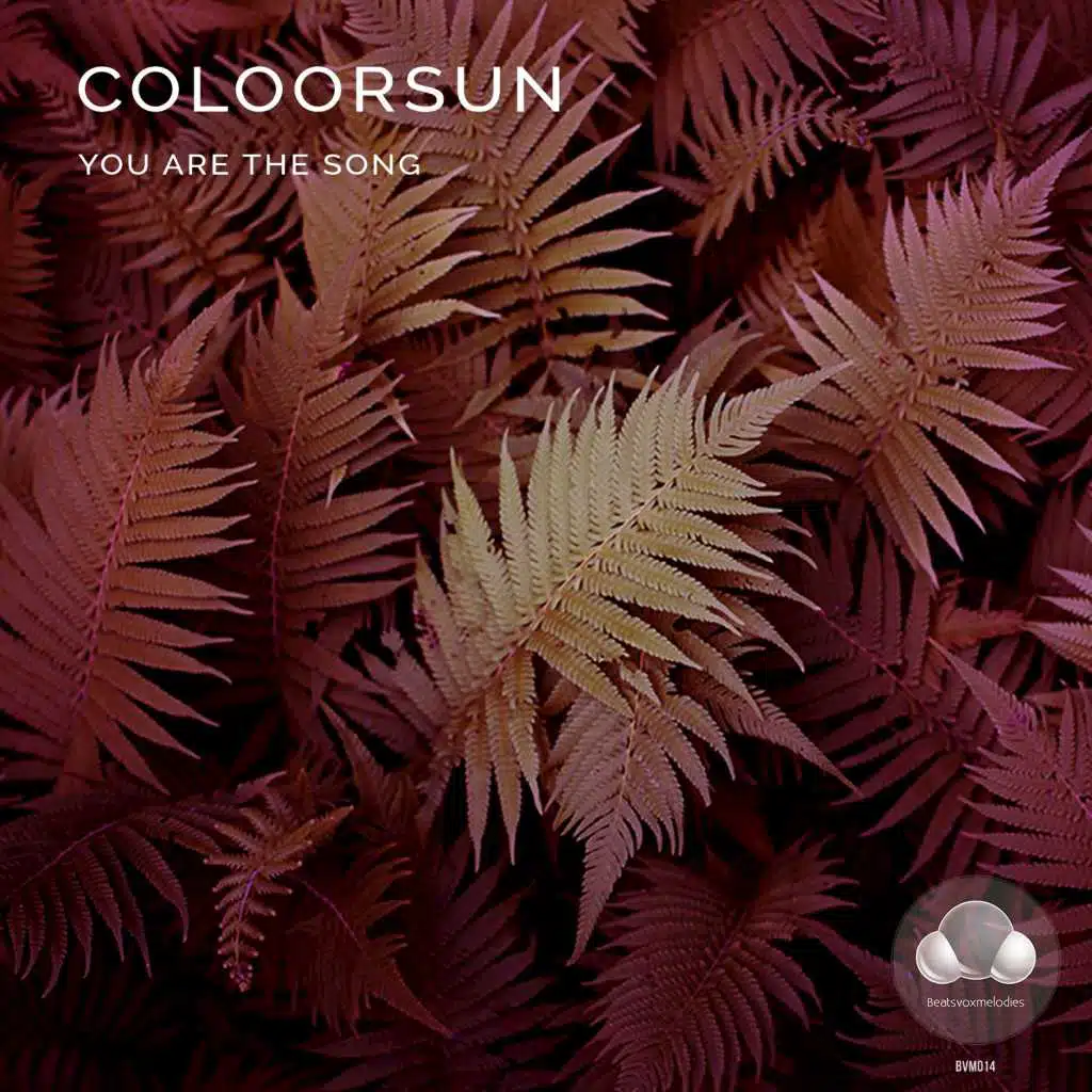 Coloorsun