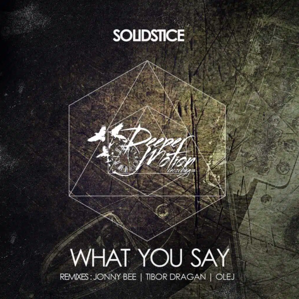What You Say (Olej Remix)