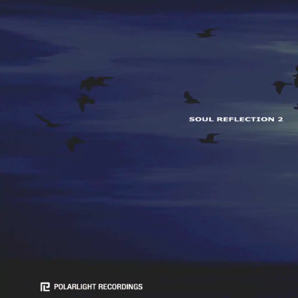V/A -Soul Reflection 2